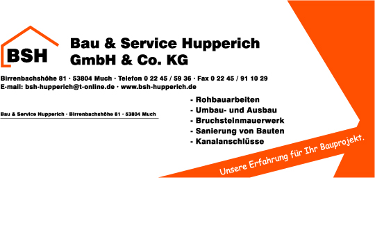 BSH LOGO Vector